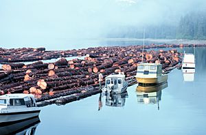 Logs rafted for towing in Alaska