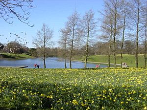 Marie Curie Field of Hope, Sefton Park - geograph.org.uk - 149919