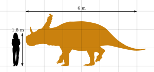 Sinoceratops Size Comparison by PaleoGeek