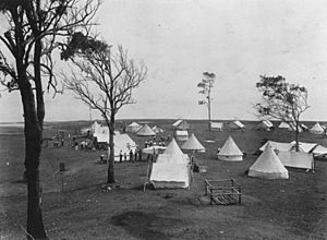 StateLibQld 1 186311 Tents on the foreshore at Wellington Point, ca. 1911