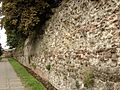 The Roman Town Wall, Head Street to the Balkerne Gate 3