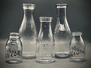 Abbotts Glass Milk Bottles 1920s-1960s