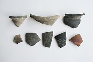 Fragments of early pottery canvey island