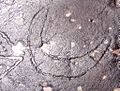 Ku-ring-gai Chase - petroglyph2