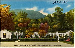 Maple Tree Motor Court, Triadelphia, West Virginia (85682)
