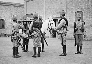 No.2 Company, Bombay Sappers and Miners, China 1900