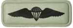 SANDF Qualification Paratrooper basic badge embossed.png