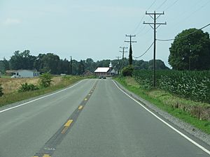 U.S. Route 360, Horse Head, Virginia (14463008076)