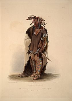 A Sioux warrior 0041v
