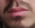 Close up man lips