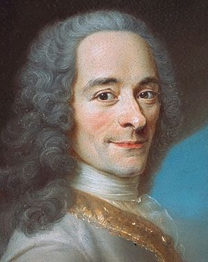 D'après Maurice Quentin de La Tour, Portrait de Voltaire, détail du visage (château de Ferney)