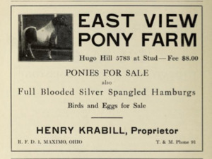 East View Pony Farm - Maximo Ohio 1915f