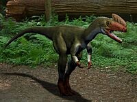 Proceratosaurus NT.jpg