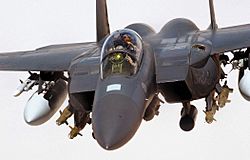 RAF F-15E Strike Eagle Iraq 2004