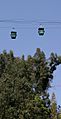 San Diego Zoo Skyfari gondolas