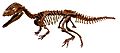 Sinosaurus triassicus white background