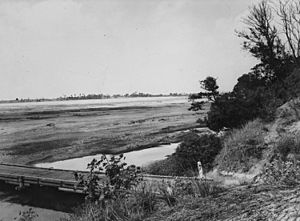 StateLibQld 1 393765 Burdekin River at its lowest level, 1948