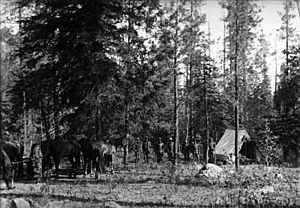 10th Cavalry at Diamond Creek, NM
