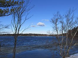 A semi-frozen lake shot through some trees