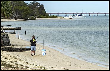 Benjamin fishing at Banksia Beach-1 (20976383282).jpg