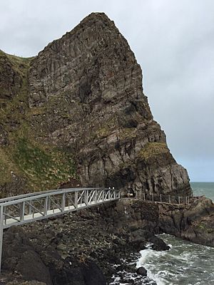Bridge and cliff at The Gobbins