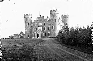 Clonyn Castle, Delvin, Co. Westmeath (28617896433)