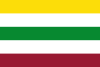 Flag of Purificación, Tolima