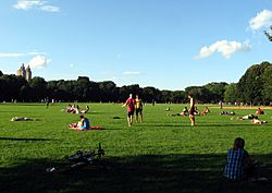 Great Lawn Central Park jeh