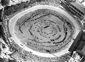 Queensland State Archives 5506 Aerial view of the grand parade of livestock at the Royal National Show Brisbane c 1958