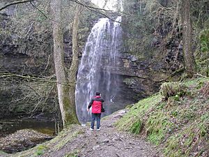 The falls - geograph.org.uk - 474090