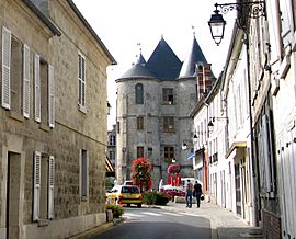 The keep of Vic-sur-Aisne
