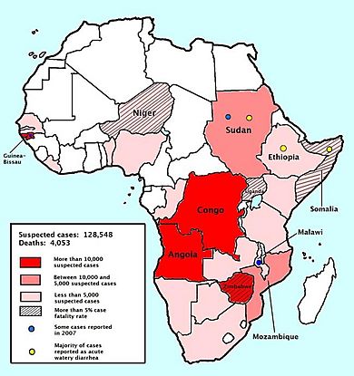 Africa cholera2008b