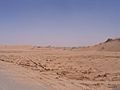 Desert in Umm al-Quwain 20060531