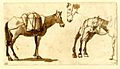 Drawing of mules by Claude Lorrain