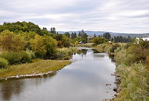 Grande Ronde River at Elgin