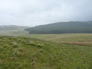 Hillside and bog above the source of the Tywi - geograph.org.uk - 2425396
