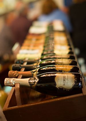 Korbel Champagnes for sale-9491