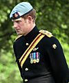 Prince Harry's medals.jpg