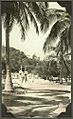 StateLibQld 2 242175 Tourists taking a walk through the palm groves on Magnetic Island, 1937-1938