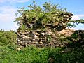 Trabboch Castle ruins - detail
