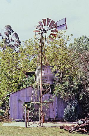 Wylarah Bathhouse and windmill (1992)