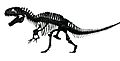 Acrocanthosaurus white background