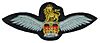 Army Air Corps brevet