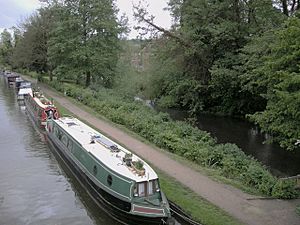 Berkhamsted-Grand Union Canal - geograph.org.uk - 1310940