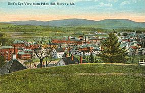 Bird's-eye view from Pikes Hill c. 1912