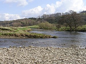Confluence of Skirden Beck with the Ribble - geograph.org.uk - 1081872