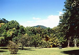 Gallop Botanic Reserve, incorporating Cooktown Botanic Gardens (1996).jpg