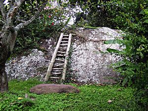 Stairway to a hermit^^39,s place in the jungle - panoramio