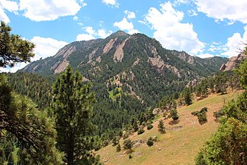 Bear Peak, Boulder July 2016 2.jpg