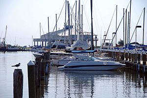 FEMA - 37538 - Pass Christian Harbor with docked boats in Mississippi